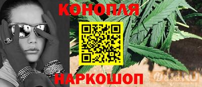 spice Будённовск