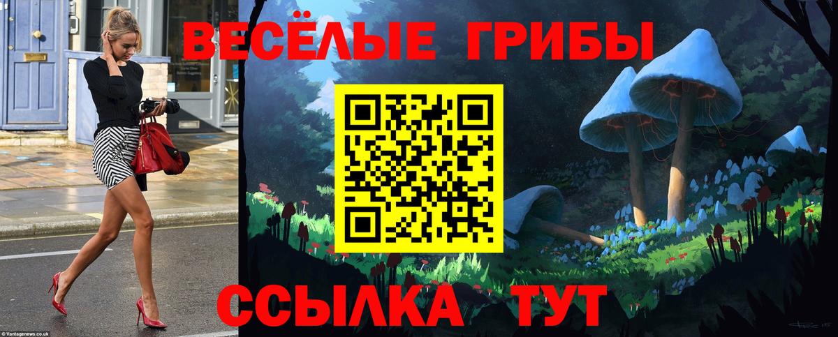 Галлюциногенные грибы мухоморы Ростов Великий